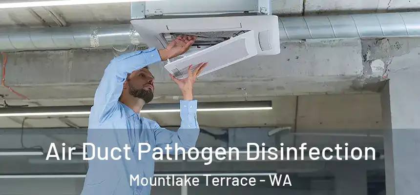  Air Duct Pathogen Disinfection Mountlake Terrace - WA