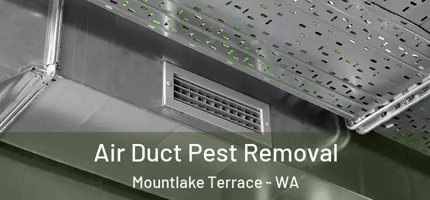 Air Duct Pest Removal Mountlake Terrace - WA