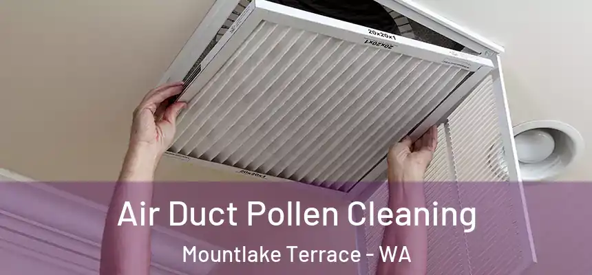 Air Duct Pollen Cleaning Mountlake Terrace - WA