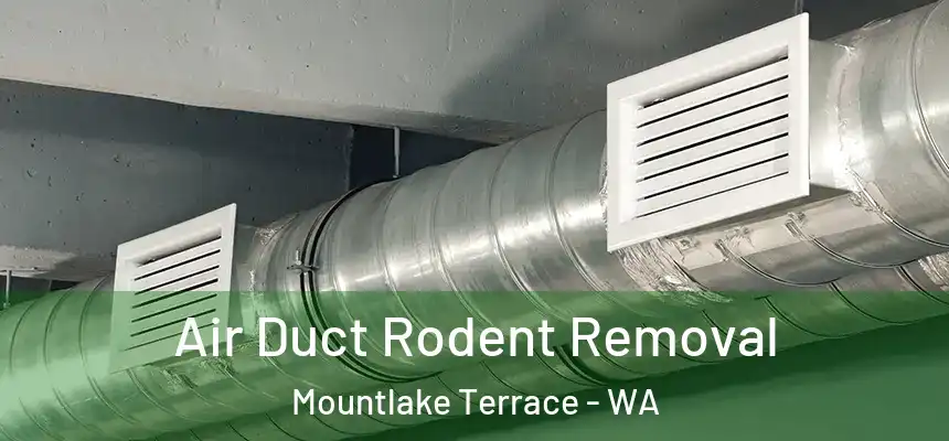  Air Duct Rodent Removal Mountlake Terrace - WA