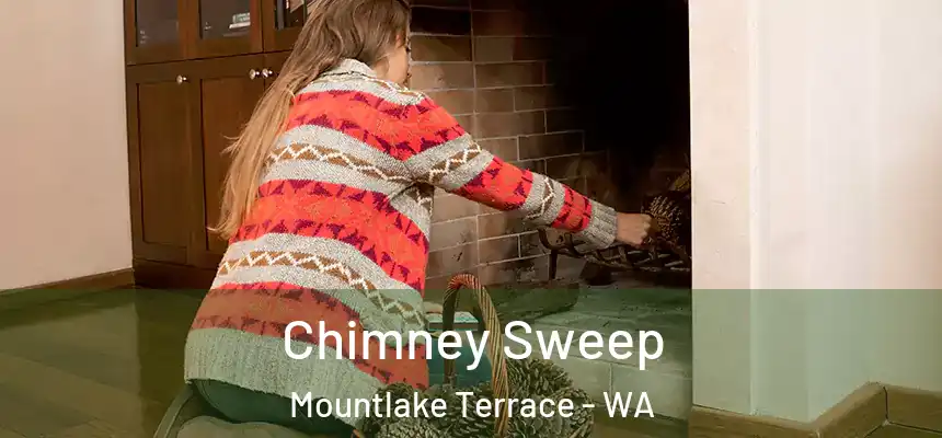 Chimney Sweep Mountlake Terrace - WA