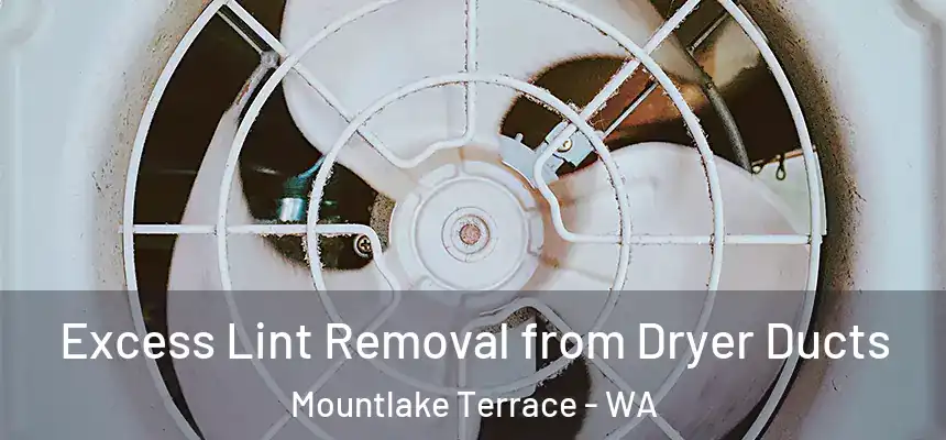  Excess Lint Removal from Dryer Ducts Mountlake Terrace - WA