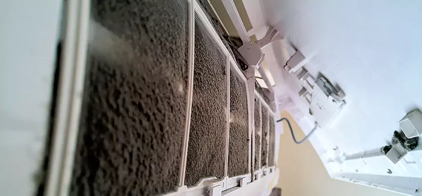 Preventive Air Duct Bacteria Removal in Mountlake Terrace