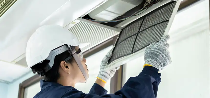 Our Lint Trap Cleaning Service Services in Mountlake Terrace, WA