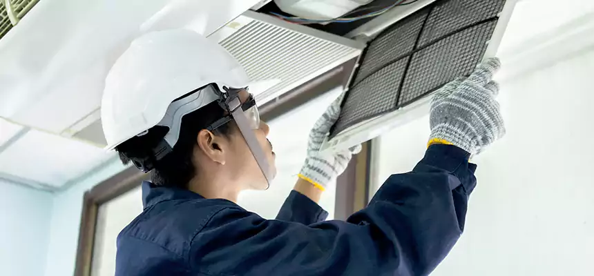 Our Mold & Mildew Removal from Air Ducts Services in Mountlake Terrace, WA