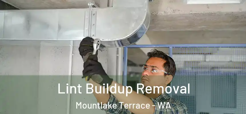 Lint Buildup Removal Mountlake Terrace - WA