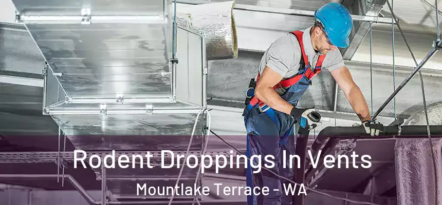  Rodent Droppings In Vents Mountlake Terrace - WA