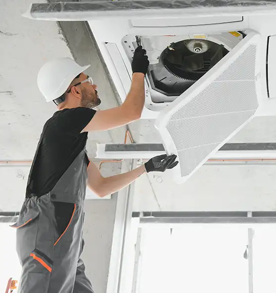 About Air Duct Rodent Removal in Mountlake Terrace, WA