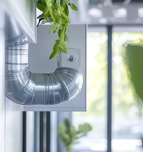 Professional Eco-Safe Dryer Vent Cleaning in Mountlake Terrace, WA