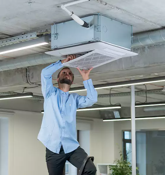 Advanced Rodent Droppings In Vents in Mountlake Terrace, WA