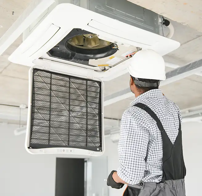 Why Homeowners & Businesses Trust Us in Mountlake Terrace, WA?