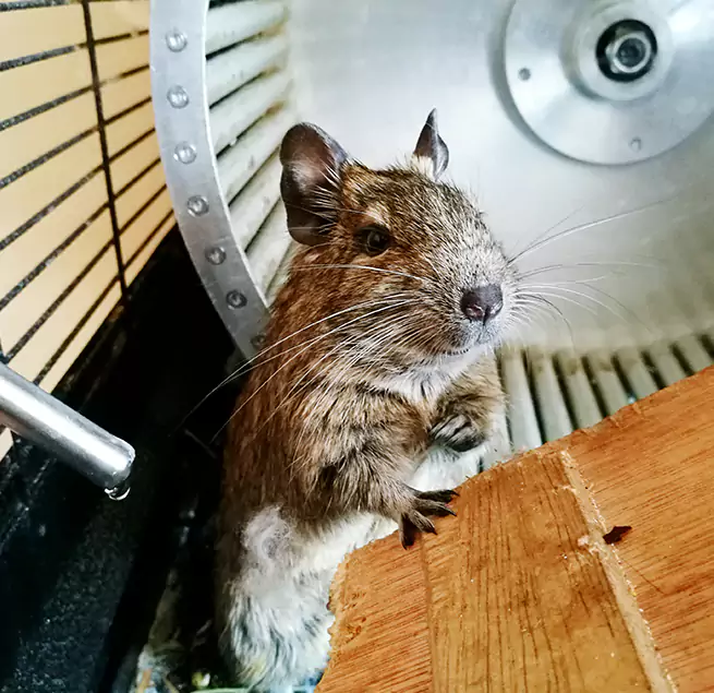 Why Homeowners & Businesses Trust Us Mountlake Terrace, WA?