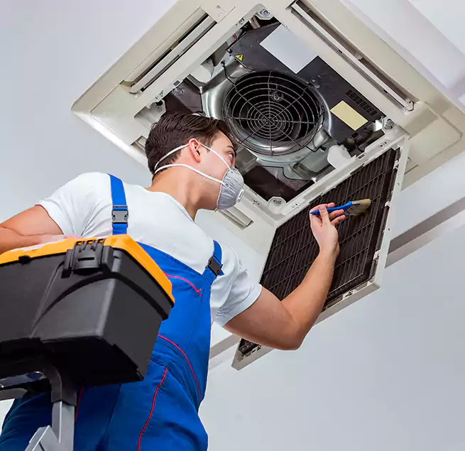 Why Homeowners & Businesses Trust Us in Mountlake Terrace, WA