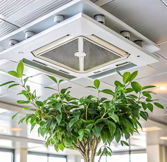 Why Homeowners & Businesses Trust Us in Mountlake Terrace, WA